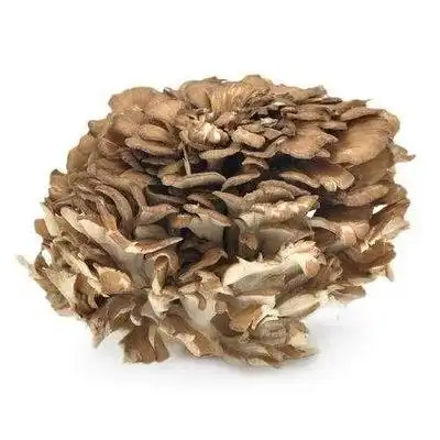 What are the health benefits of Grifola Frondosa Extract?
